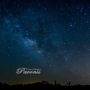 一级簧片aaa免费观看
