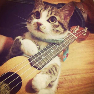 一级簧片aaa免费观看
